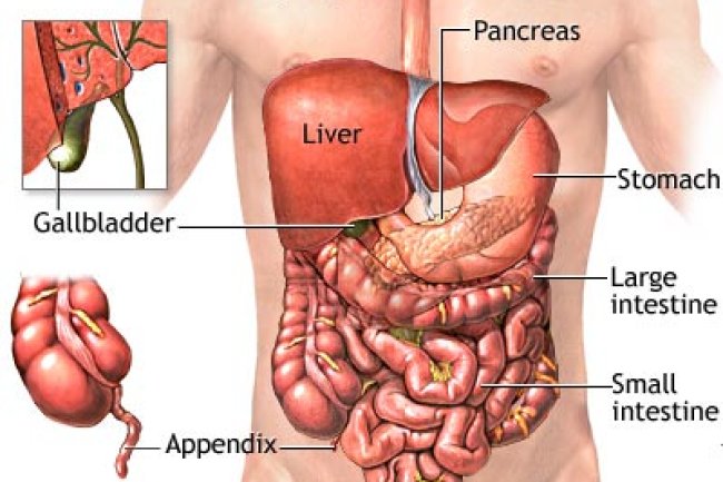 Abdominal pain (पेट दर्द)